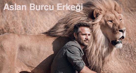 Aslan Burcu Erkeği